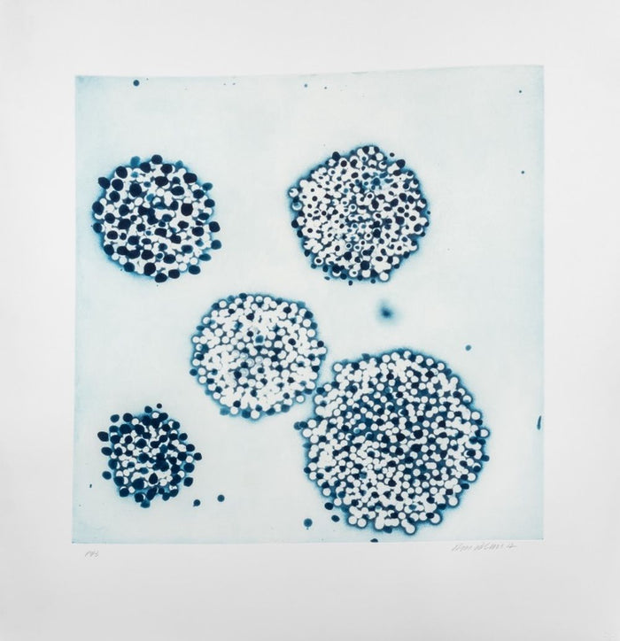 Ross Bleckner "Cluster" Etching and Aquatint