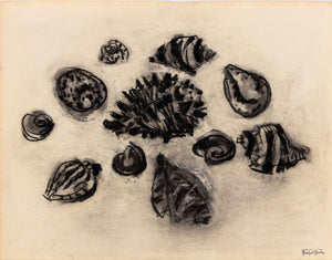 Manfred Schwartz Still Life of Seashells Charcoal (9768310767923)