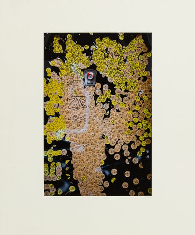 Anne Sager Price Sticker Graffiti Photograph Print