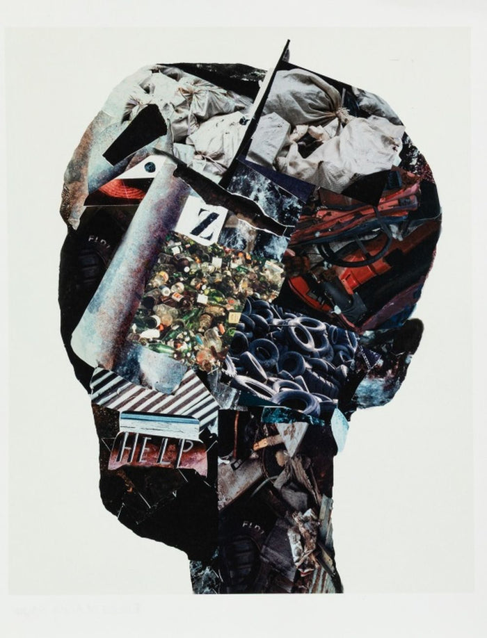 Anne Sager "Angst" Photograph Collage C-Print