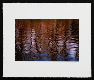 Anne Sager Forest Reflections Photograph Print (9792458654003)