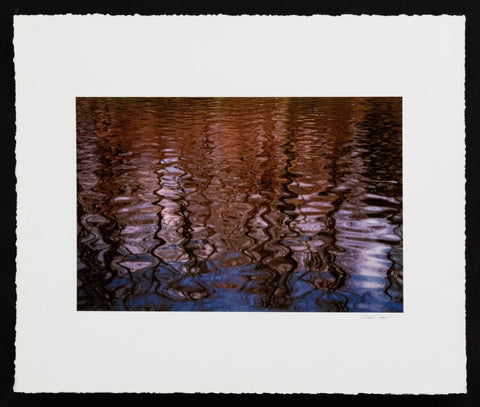 Anne Sager Forest Reflections Photograph Print