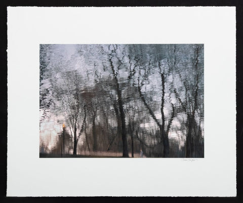 Anne Sager City Park Reflections Photograph Print