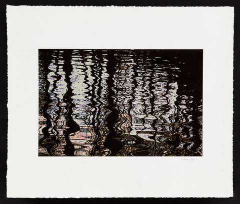 Anne Sager Forest Reflections Photograph Print