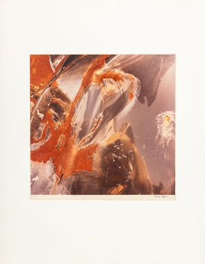 Anne Sager Junk Car Composition Photograph C-Print (9792234684723)