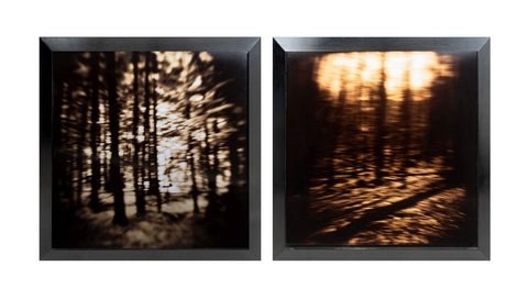 Gwen Akin & Allan Ludwig Landscape Cibachromes, 2