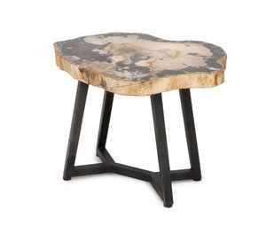 Contemporary Petrified Wood Side Table