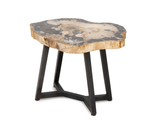 Contemporary Petrified Wood Side Table