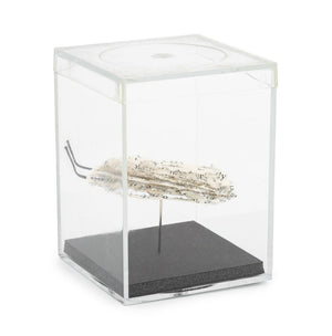 Doug Beube Book Bug Paper and Steel Pin Sculpture