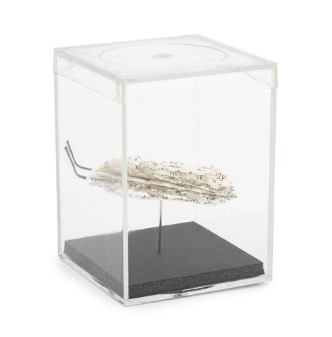 Doug Beube Book Bug Paper and Steel Pin Sculpture