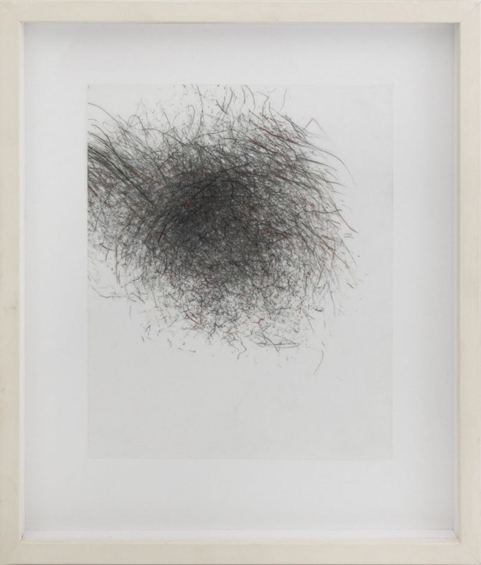 Jaanika Peerna Puff Series Graphite on Mylar