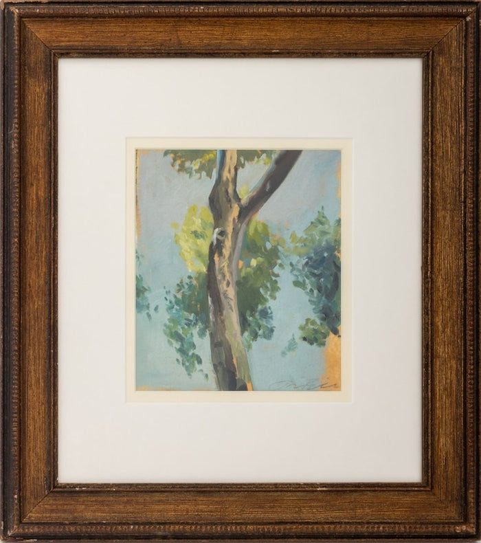 Jason Bereswill "Madrid Tree Study" Oil on Paper