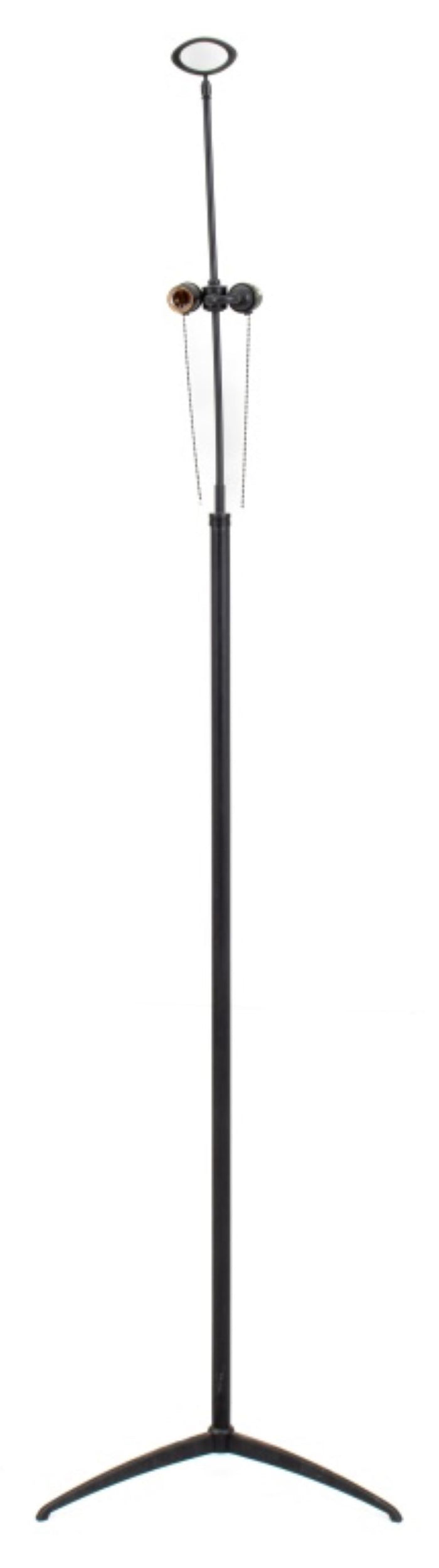 Modern Black Two-Light Tripod Floor Lamp