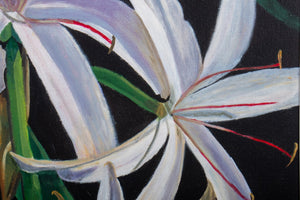 Harry Sarnoff "Swamp Lilies" Acrylic on Canvas (9182146167091)