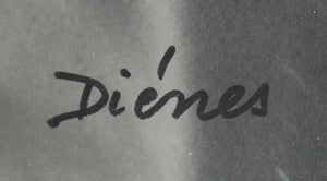 Andre de Dienes, Marilyn Monroe Montage, 1953 (8891040694579)