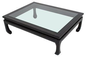 Chinese Glass Top Zitan Low Table (9182235427123)