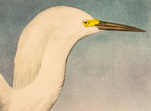 After James Audubon "Snowy Heron" Print (8937404367155)