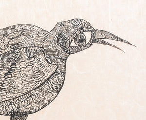 Leonard Barton "Bird of Prey" Ink on Paper (8934587203891)