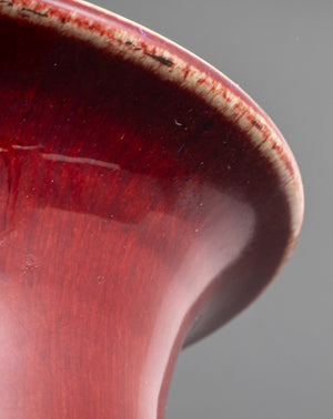 Chinese Copper Red Glazed Porcelain Baluster Vase (9186541994291)