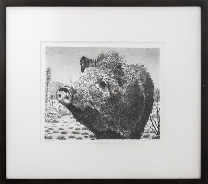 William Wind McKim "Javelina" LIthograph