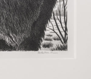 William Wind McKim "Javelina" LIthograph (9619547849011)