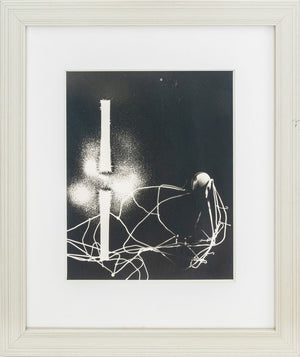 Gyorgy Kepes "Magnetic Fields" Silver Print (9884952592691)
