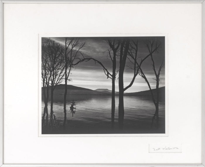 Brett Weston "Lake Patzcuaro, Mexico" Silver Print