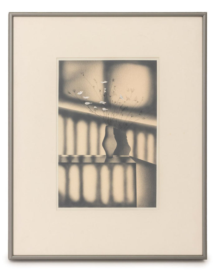 Beverly Hallam "Queen Anne's Shadow ...", 1993