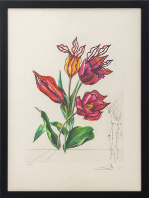 Salvador Dali "Tulip (Lips)" Etching, 1972