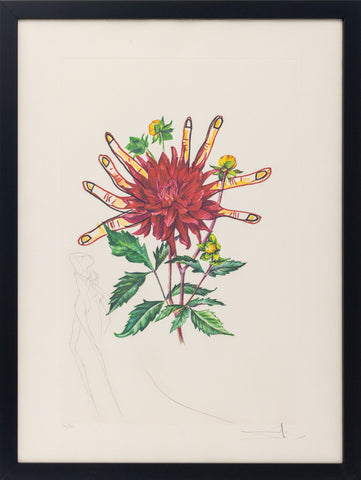 Salvador Dali 