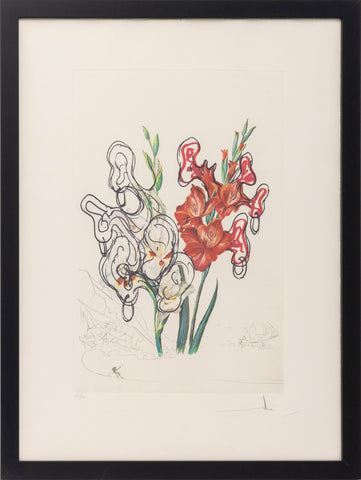 Salvador Dali 