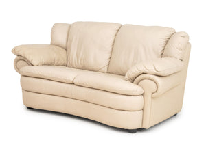 Modern Beige Leather Upholstered 2-Seat Sofa