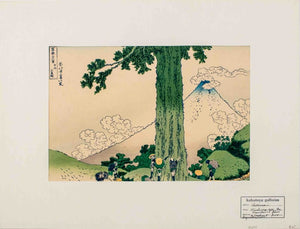 After Hokusai "Mishima Pass..." Woodblock (9017859768627)