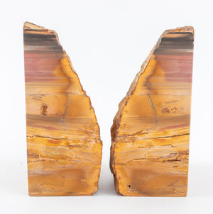 Petrified Wood Mineral Specimen Bookends, Pair (8924804907315)