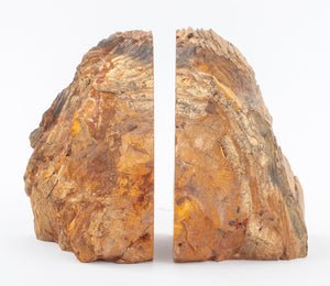 Petrified Wood Mineral Specimen Bookends, Pair (8924804907315)