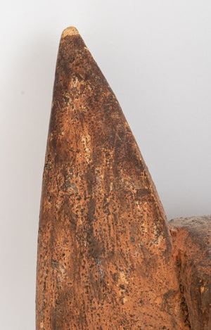 African, Likely Cote d'Ivoire, Wood Feline Mask (8363753013555)