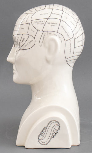 Phrenology Head Porcelain Sculpture (8898364014899)