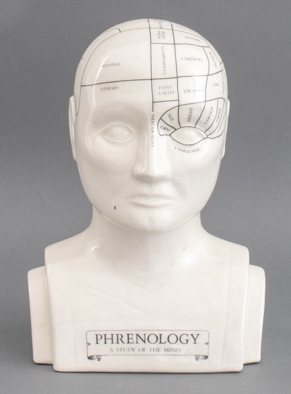 Phrenology Head Porcelain Sculpture