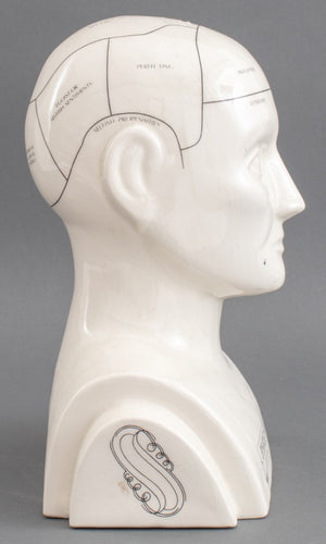 Phrenology Head Porcelain Sculpture (8898364014899)