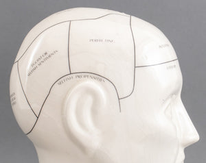 Phrenology Head Porcelain Sculpture (8898364014899)