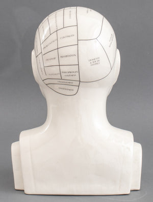 Phrenology Head Porcelain Sculpture (8898364014899)