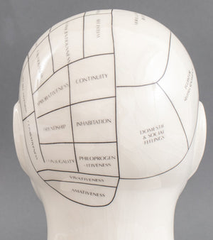 Phrenology Head Porcelain Sculpture (8898364014899)