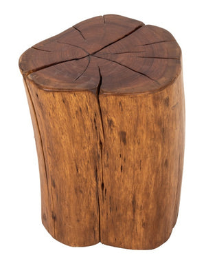 Modern Wood Trunk End Table / Stool (8579816554803)