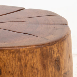 Modern Wood Trunk End Table / Stool (8579816554803)