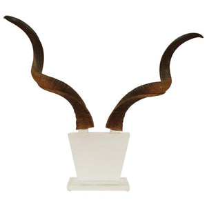 Mid-Century Modern Antelope Antlers on Lucite Stand (6719904448669)