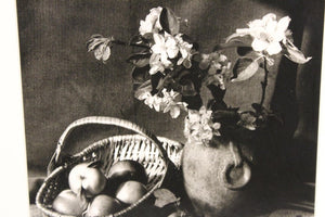 Bo Kass Photography Still Life with Fruit Bowl and Plants middle (6719949439133)
