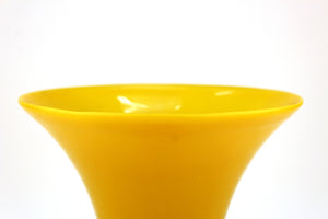 Chinese Peking Imperial Yellow Glass Vase top (6719852806301)
