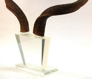 Mid-Century Modern Antelope Antlers on Lucite Stand Detail (6719904448669)
