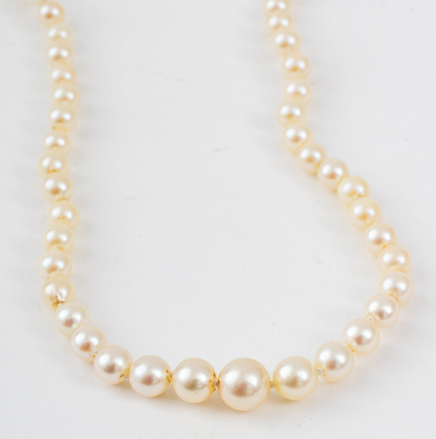 Wholesale 20x30mm White Gold Filled Necklace Shortener Clasp Wholesale  20x30mm White Gold Filled Necklace Shortener Clasp [NF0090] - $1.90 :  Pearls at Pearls, Wholesale Pearls and Pearl Jewelry Supplies!