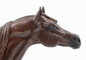 Snell Johnson "NV Pingo" Bronze Horse Bust (7471392686237)